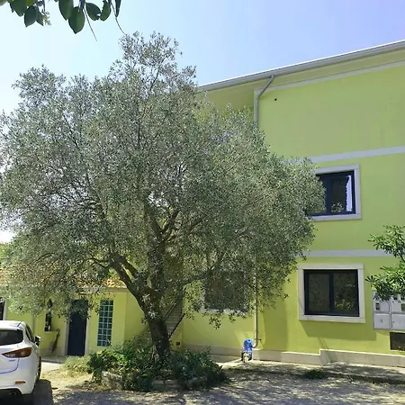 Apartments Adri, Parking In The Yard Rovinj Exterior photo