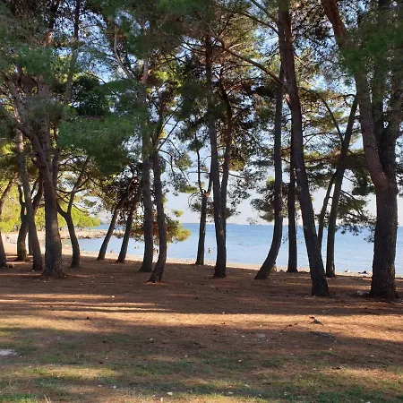Apartments Adri, Parking In The Yard Rovinj Exterior photo