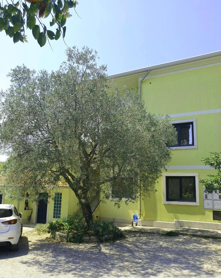 Apartmán Adri, Parking In The Yard