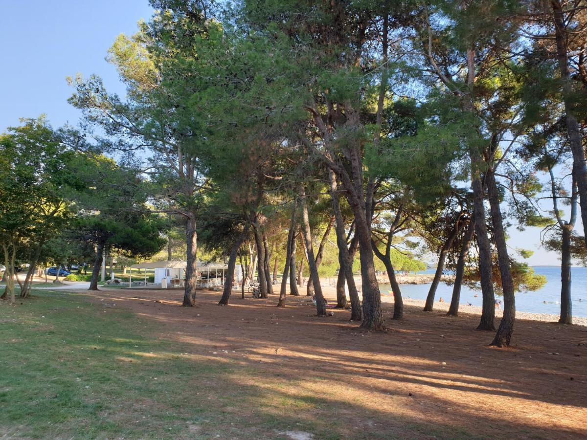Adri, Parking In The Yard Rovinj